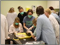 KTTC provides triage training to veterinarians and rehabilitators