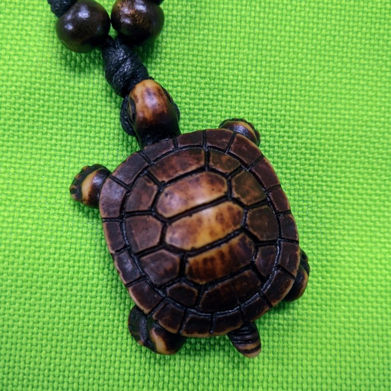 Darker Coloured Turtle