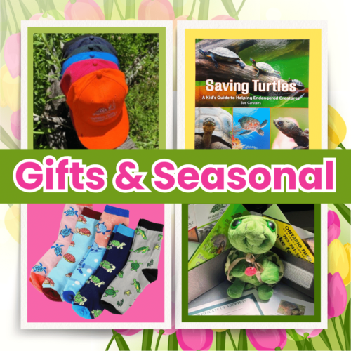 Gifts, Cards, and Seasonal